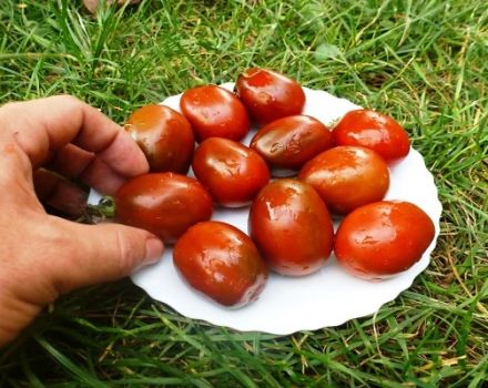 Description de la variété de tomates Pruneaux, recommandations de culture et d'entretien