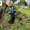 ¿Cómo desyerbar las patatas de forma rápida y correcta con una podadora, un tractor de empuje y otros dispositivos?