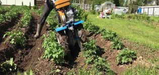 ¿Cómo desyerbar las patatas de forma rápida y correcta con una podadora, un tractor de empuje y otros dispositivos?