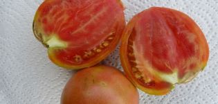 Characteristics and description of the Miracle Walford tomato variety, its yield