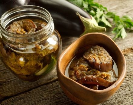 Las mejores y más deliciosas recetas para cocinar berenjenas en escabeche para el invierno en tarros.