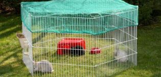 Do-it-yourself construction of an aviary for rabbits and breeding at home