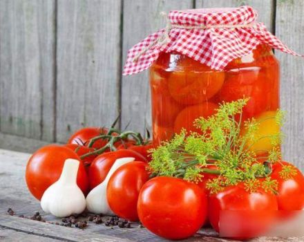 TOP 8 simple and delicious recipes for pickling tomatoes for the winter in a sweet way