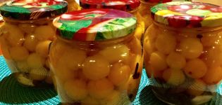 TOP 9 recetas simples para hacer ciruelas de cereza en escabeche para el invierno