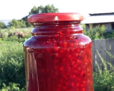 TOP 2 recettes simples pour faire de la confiture de moelle osseuse pour l'hiver