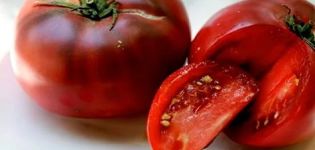 Characteristics and description of the variety of tomato Black Crimea