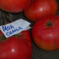 Description of the tomato variety My family, cultivation features and yield