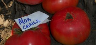 Description de la variété de tomate Ma famille, caractéristiques de culture et rendement