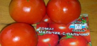 Description of the tomato variety Boy with a finger, features of cultivation and care