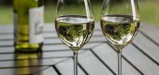 4 recetas fáciles de vino de uva verde casera