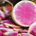 Beschrijving van de daikon-variëteit Misato Pink glitter, kenmerken van teelt en verzorging