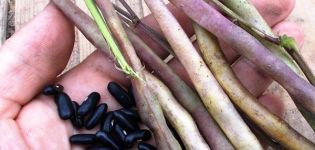 Kesihatan dan kebaikan kacang untuk diabetes, yang lebih berguna