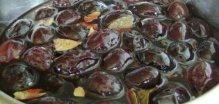 TOP 3 recetas simples de ciruelas en escabeche para el invierno en latas