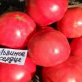 Description de la variété de tomate Lionheart, ses caractéristiques et sa productivité