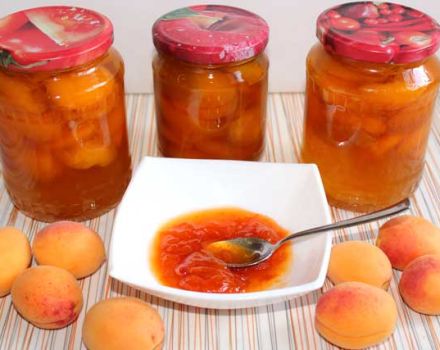 TOP 25 recettes simples pour faire de la confiture d'abricots pour l'hiver