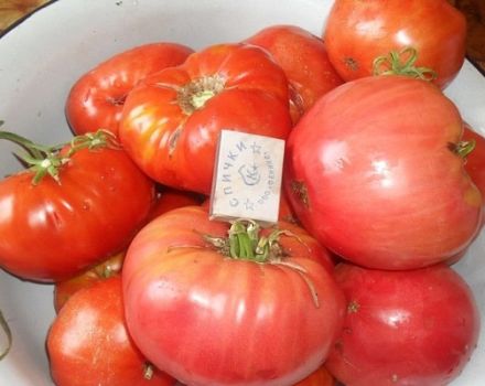 Description of the tomato variety Pink sugar, features of cultivation and care