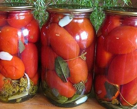 15 recettes instantanées de tomates marinées en 30 minutes