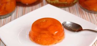 TOP 6 step-by-step recipes for making apricot jelly for the winter