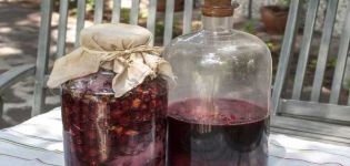 11 easy recipes for making cherry wine step by step at home