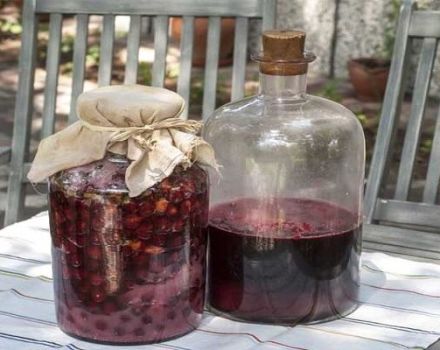 11 recettes faciles pour faire du vin de cerise étape par étape à la maison