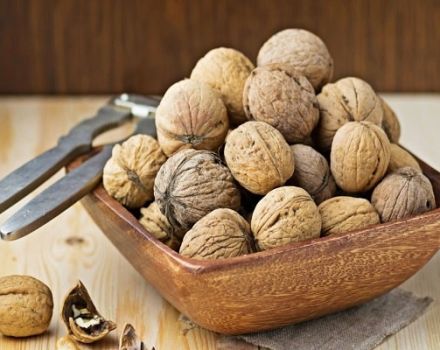 Cómo y cuánto puede almacenar nueces peladas en casa.