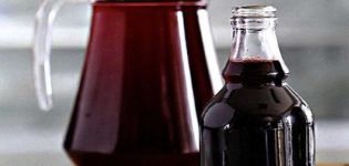 TOP 2 recipes for the step-by-step preparation of blackcurrant syrup for the winter