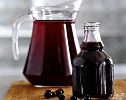 TOP 2 recipes for the step-by-step preparation of blackcurrant syrup for the winter