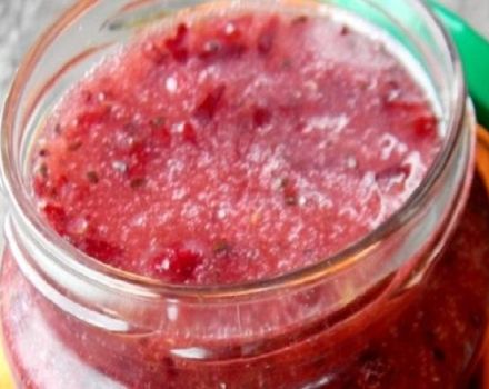 Step-by-step recipe for making mashed plums with sugar for the winter