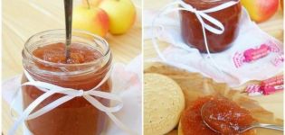 Stapsgewijs recept voor het maken van appeljam in een slowcooker voor de winter