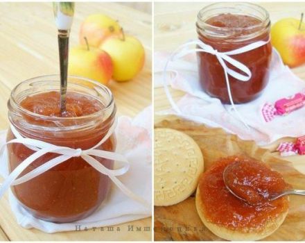 Recette étape par étape pour faire de la confiture de pommes dans une mijoteuse pour l'hiver