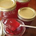 Recettes simples étape par étape pour faire de la gelée de framboises pour l'hiver