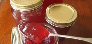 Recettes simples étape par étape pour faire de la gelée de framboises pour l'hiver