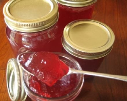 Recettes simples étape par étape pour faire de la gelée de framboises pour l'hiver