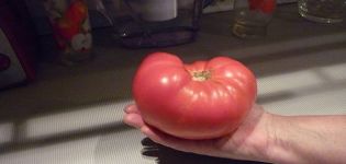 Characteristics and description of the tomato variety Russian soul