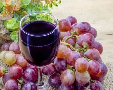 3 najbolja recepta za domaće vino od ružinog grožđa