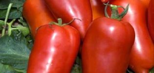 Description of the Bonanza banana tomato variety and its characteristics