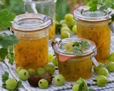 4 recipes for making raw gooseberry jam for the winter