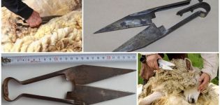 Varieties of shears for shearing sheep and how to choose a device, how much they cost