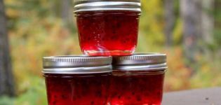 A simple recipe for making gooseberry jam with gelatin for the winter