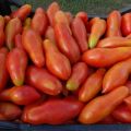 Características y descripción de la variedad de tomate Plátano naranja