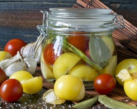 Les meilleures recettes pour cuisiner physalis pour l'hiver