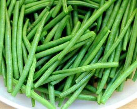 Useful properties and harm of green beans for the human body