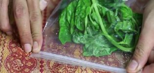 How you can keep fresh basil in the refrigerator for the winter at home