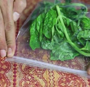 ¿Cómo puede guardar albahaca fresca en el refrigerador para el invierno en casa?