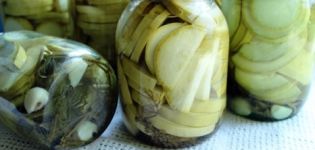 Instant recipe for pickled zucchini with honey and garlic for the winter