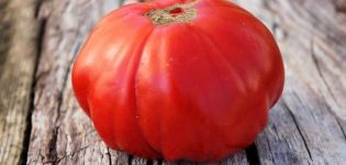 Description of the Siberian Trump tomato variety and its characteristics