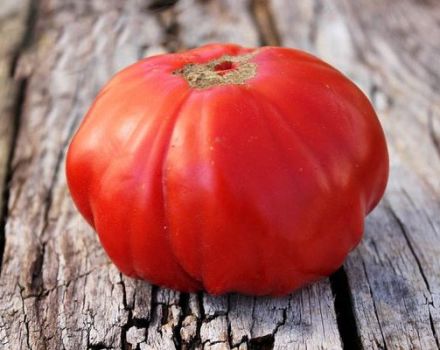 Description of the Siberian Trump tomato variety and its characteristics