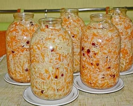 13 resipi sauerkraut buatan sendiri terbaik