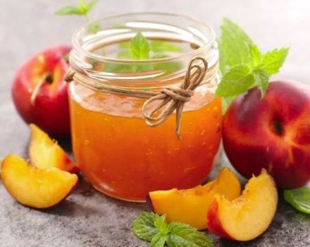 3 recettes pour faire de la confiture de pêche instantanée pour l'hiver