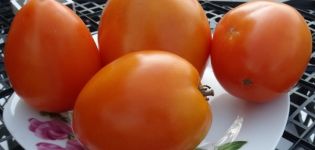 Productividad, características y descripción de la variedad de tomate Mermelada